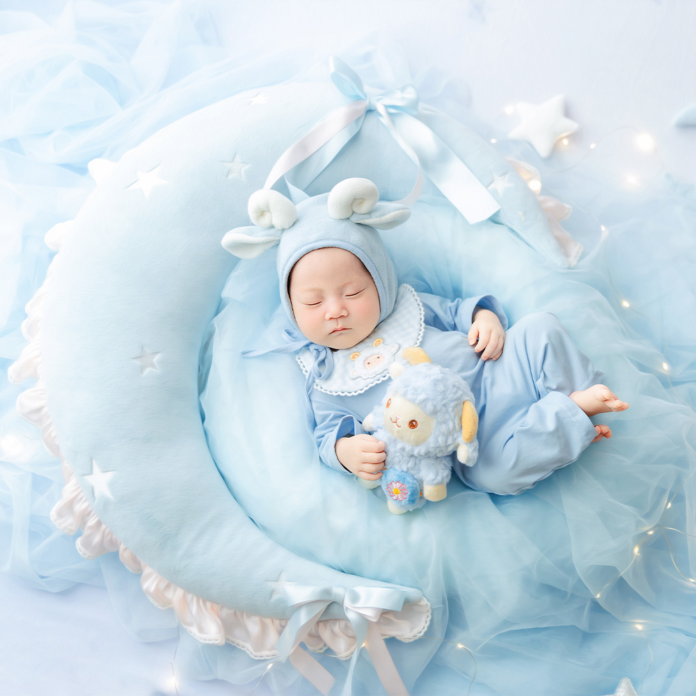 かわいい羊の新生児写真撮影用小道具セット 月型ポーズ枕 子羊 - Infant Photography Props Outfit のレビューと価格